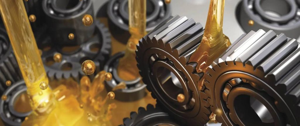 photo_2024-11-13_00-30-25