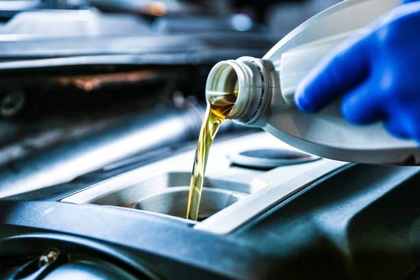 photo_2024-11-13_21-46-10