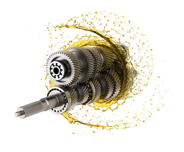 photo_2024-11-13_22-13-31